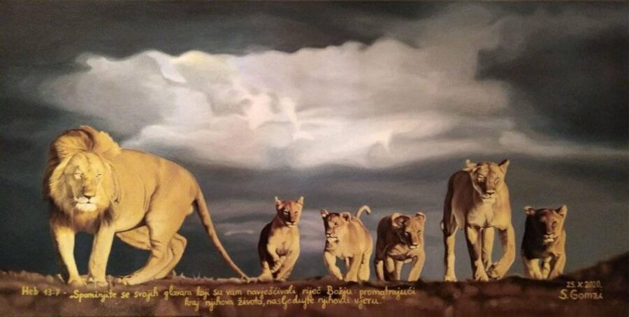 The Lion Family