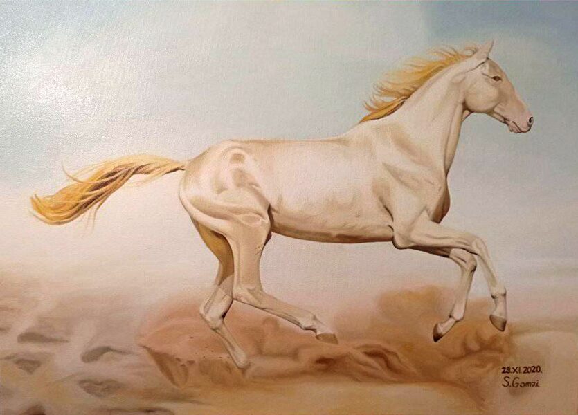 Horse in the desert