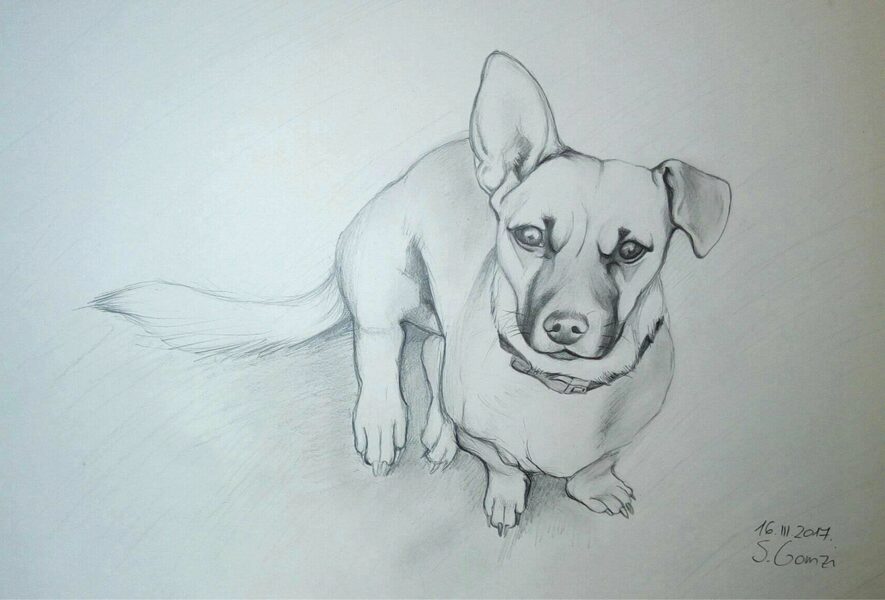 Lili
