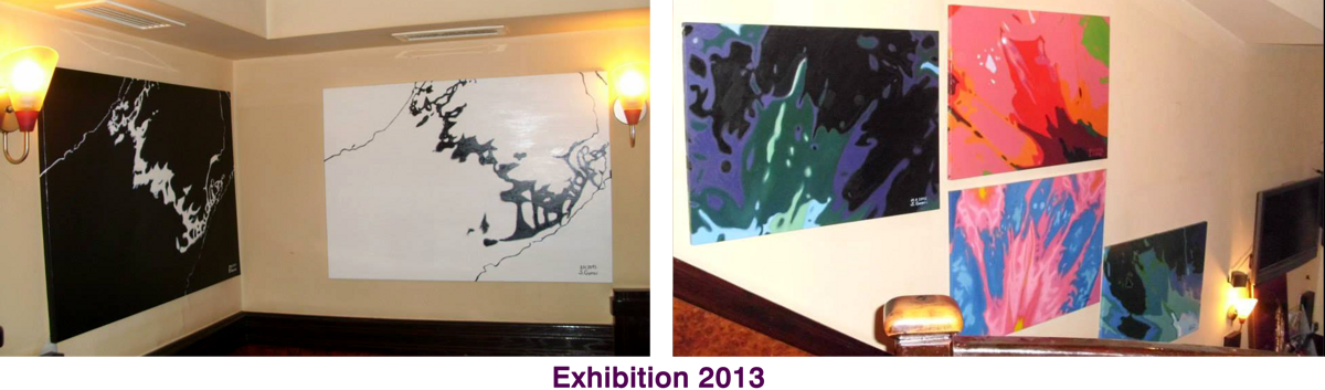 Exhibition_2013.png