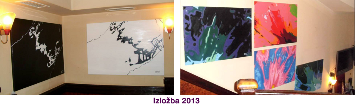 Izlozba_2013.png